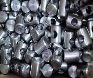 Stainless Steel nuts